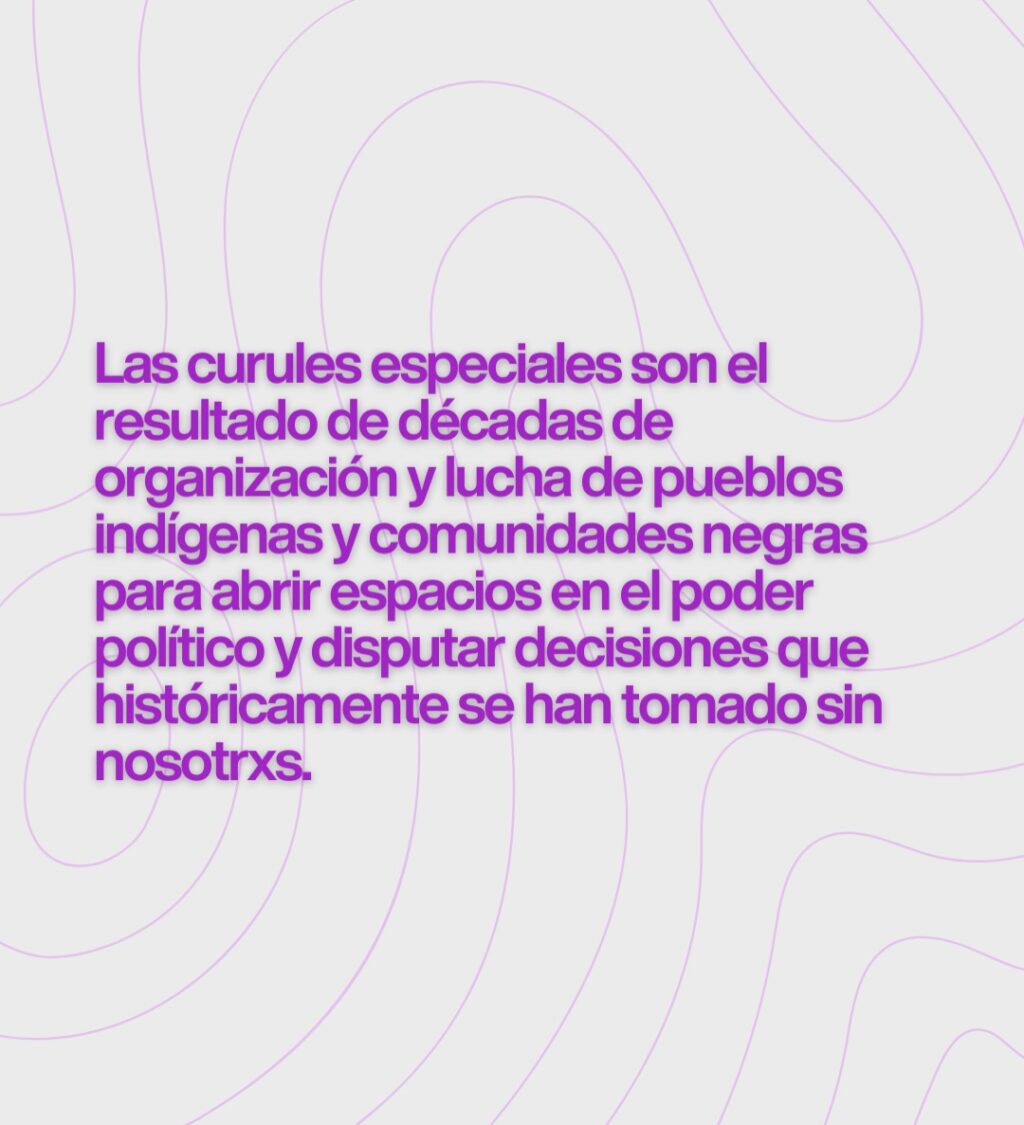 Instagram post from cartografia.sur. This post is in position 8.